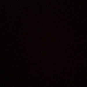 Meet your Posher, Riley